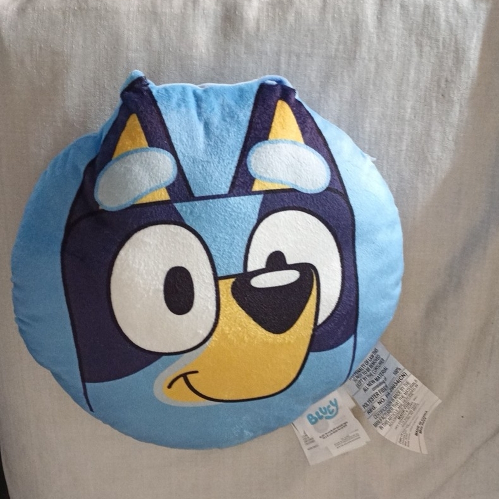 Bluey Character soft plush Pillow 13x13